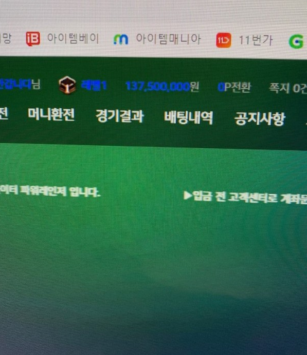 잡았다 요놈 (파워레인저 POWER RANGERS) 먹튀검거