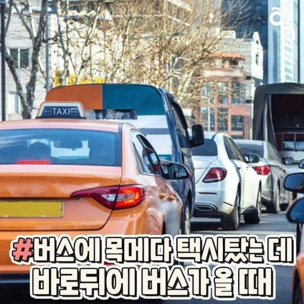 718c0ddbd8823eda494ee48bae45b973_1620967100_6135.jpg