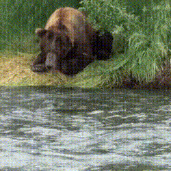 f9b28757f40a43207fece6626dbc957b_1620658864_0089.gif