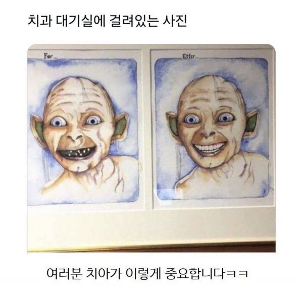 1090285063_BMG3uJoF_1734485582.jpeg