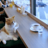 1090285159_mKGRk5ZV_1733281144.gif