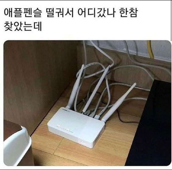 1090285193_1fGzDI32_1721713756.jpeg