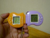 1090285270_HzZ9Y2D6_1728004182.jpg
