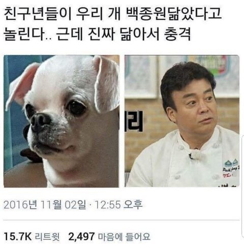 1090285283_XioYtOmw_1729041883.jpg