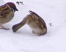 1090285421_SXMj3tne_1744079338.jpeg
