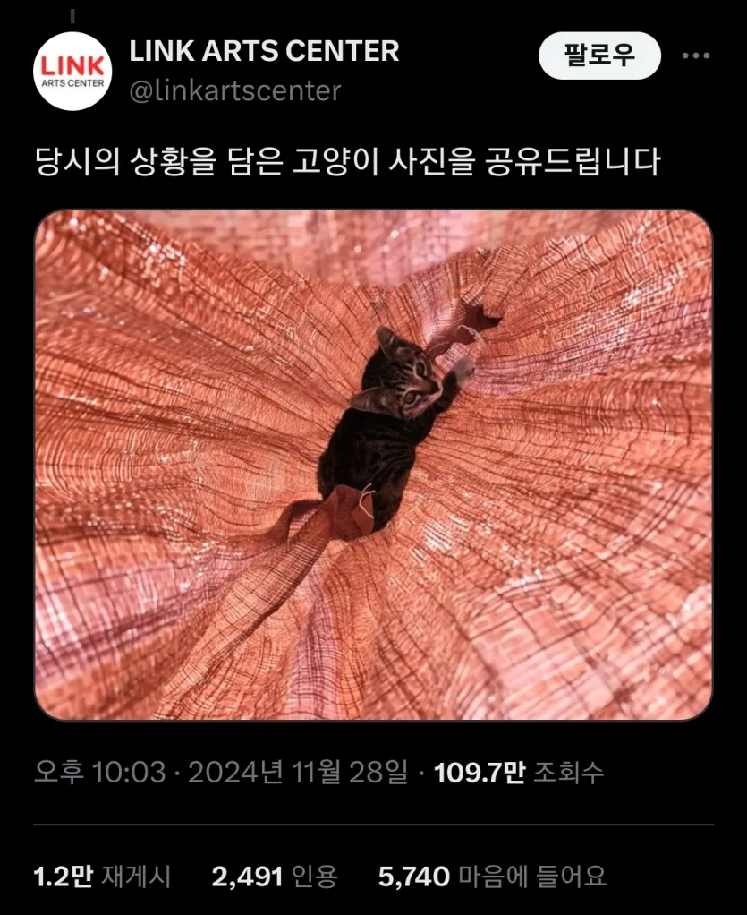 1090285634_5eUENH1i_1732844332.webp