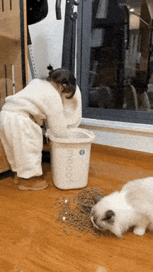 1090285636_3Y0E9qSn_1733880370.gif