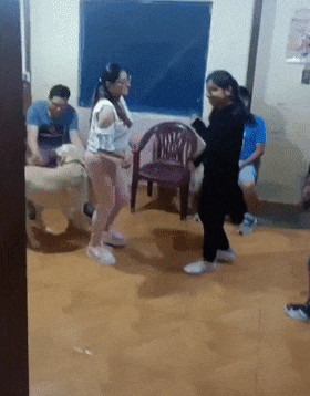 1090285636_NIHnsK0G_1733880372.gif