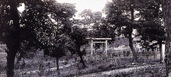 1090285672_7I5NVU0u_1724120030.jpg