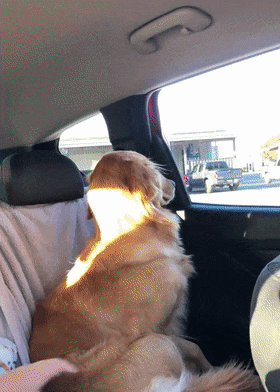 1090285778_80WCz1cw_1733794697.gif