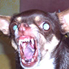 1090285788_XbAEYK13_1728523833.png