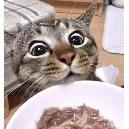1090285893_WcyqXCVz_1740360023.png