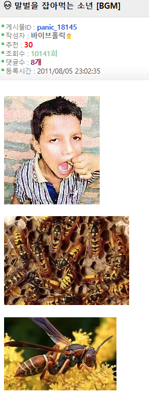 1090286036_FVmYpUvI_1735005715.png