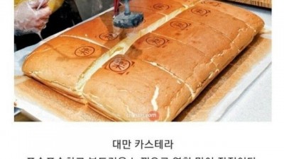 일본, 대만, 대한민국 카스테라 비교