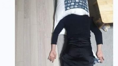 고양이 쿠션 후기