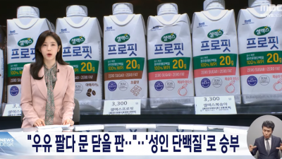 우유·분유 안 팔린다 성인 겨냥한 단백질 음료로 돌파