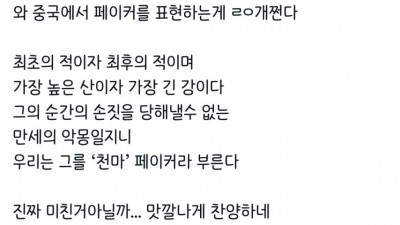 중국에서 페이커를 지칭하는말.jpg