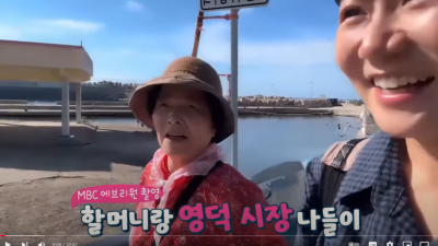 시골시장 물가 단속반 유이뿅