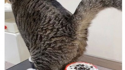 어어 야 거긴 안된다