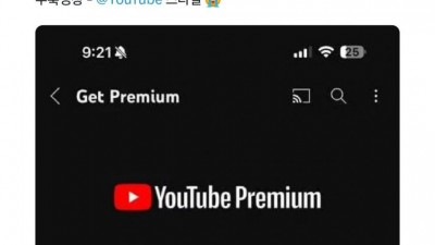 유튜브 앞으로는 돈내고 광고 보세요