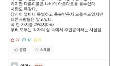 나비는 자신의 날개를 볼수 없다.jpg