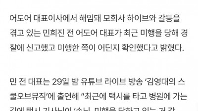 민희진: 난 지금 미행 당하며 암살 위협을 받고있다