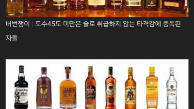 각종 술로 알아보는 술주정뱅이들 특징