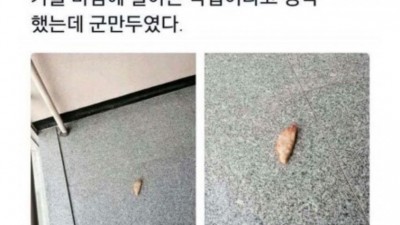 가을 바람에 날아온 낙엽이라고 생각했는데