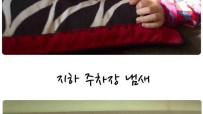 흔한 냄새들