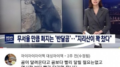 곰이 달려올 때 살아남는 법