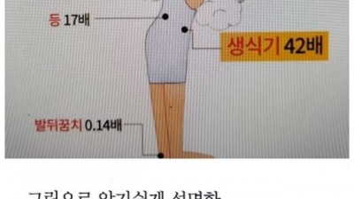 일본발 유사과학