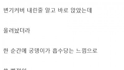 펌) 나 방금 변기에 빠졌어