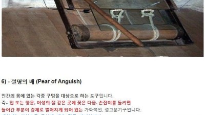 혐] 역사 속 고문 장치들