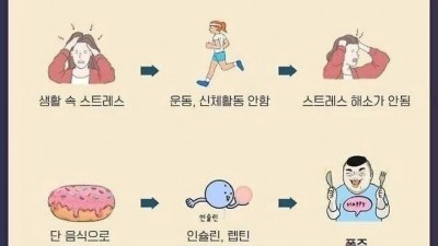 95%가 겪는 살찌는 과정