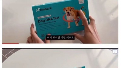 시골 똥강아지 DNA 품종검사 결과 ㅋㅋㅋㅋㅋㅋ.jpg