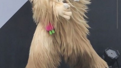 펭수엄마 이슬예나PD, 신규 캐릭터 공개