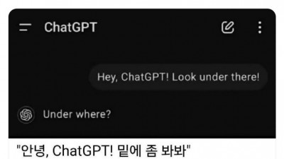 챗gpt한테 장난치면 안 되는 이유.jpg