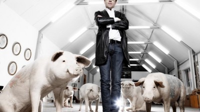 돼지 몸에 문신을 새기는 예술가