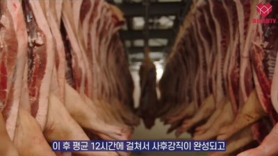           		          		  방금 도축한 고기의 충격적인 맛