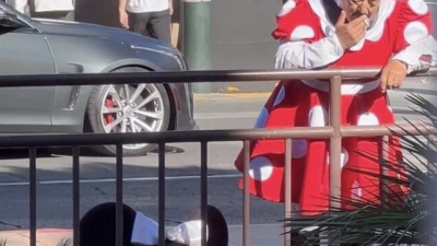 미니마우스의 정체