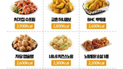 브랜드별 치킨 칼로리 정리