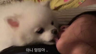 떡실신 여성 강제 키스