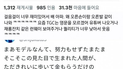 일본에서 논란이 된 아이돌 워킹 ㅋㅋㅋ