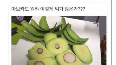 음식 처음 해보는 사람들 열정