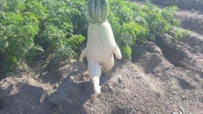 무과장 도주하려다 체포