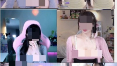           		          		  네이버 치지직, 효자 벗방 판치는데… 규제 나설까