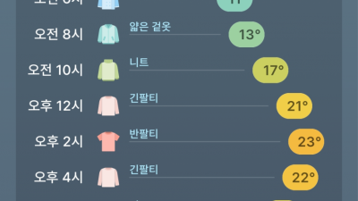 ?,, 내일 옷을 몇 번 갈아입으란 말임