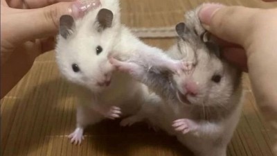 부산 서면에서 금요일밤에 꼭 보이는 장면