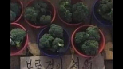 별명이 점점 늘어나는 채소ㅋㅋ