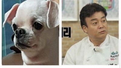우리 개백종원 닮았데